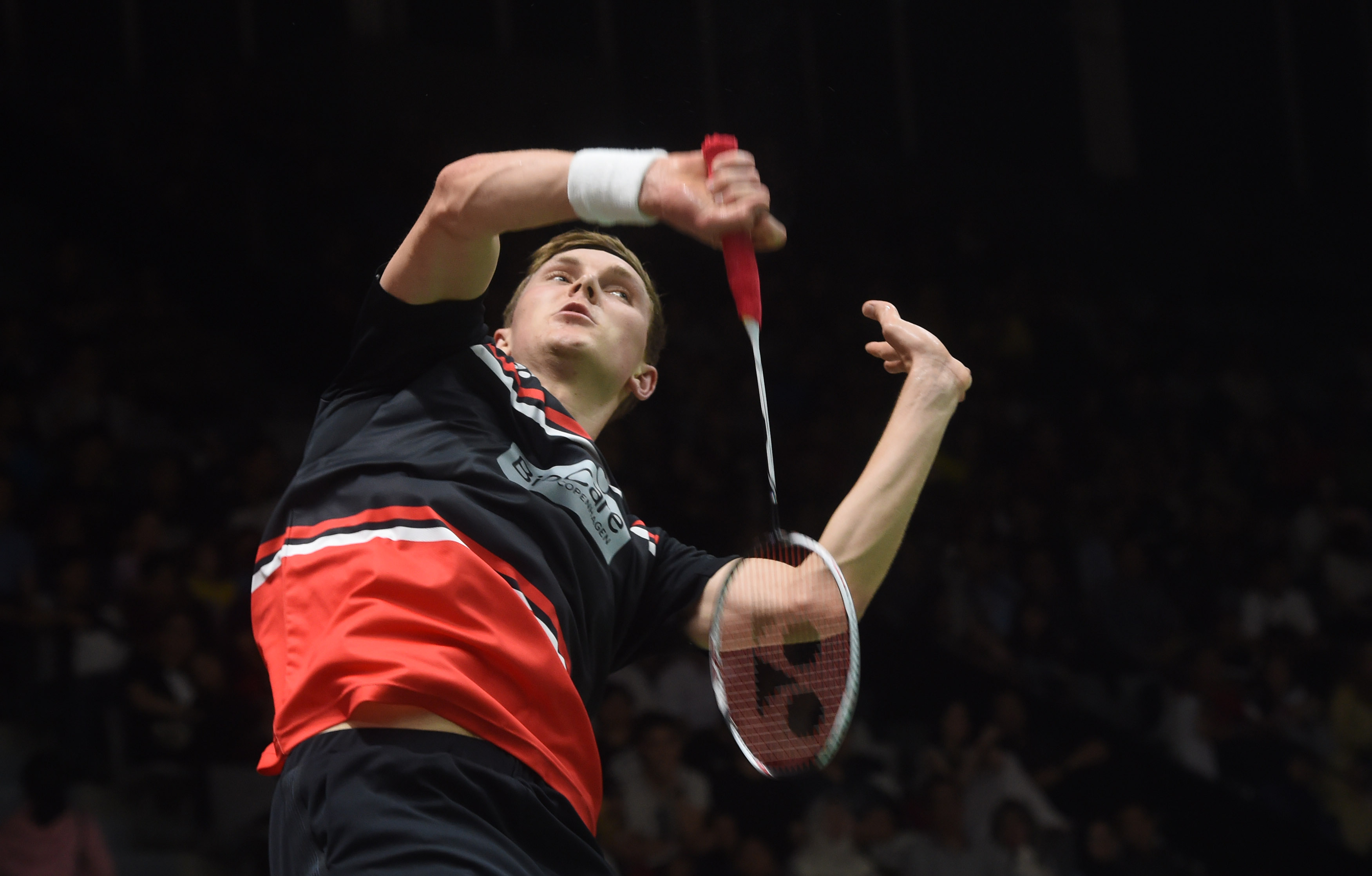 篮网主教练 篮网主教练