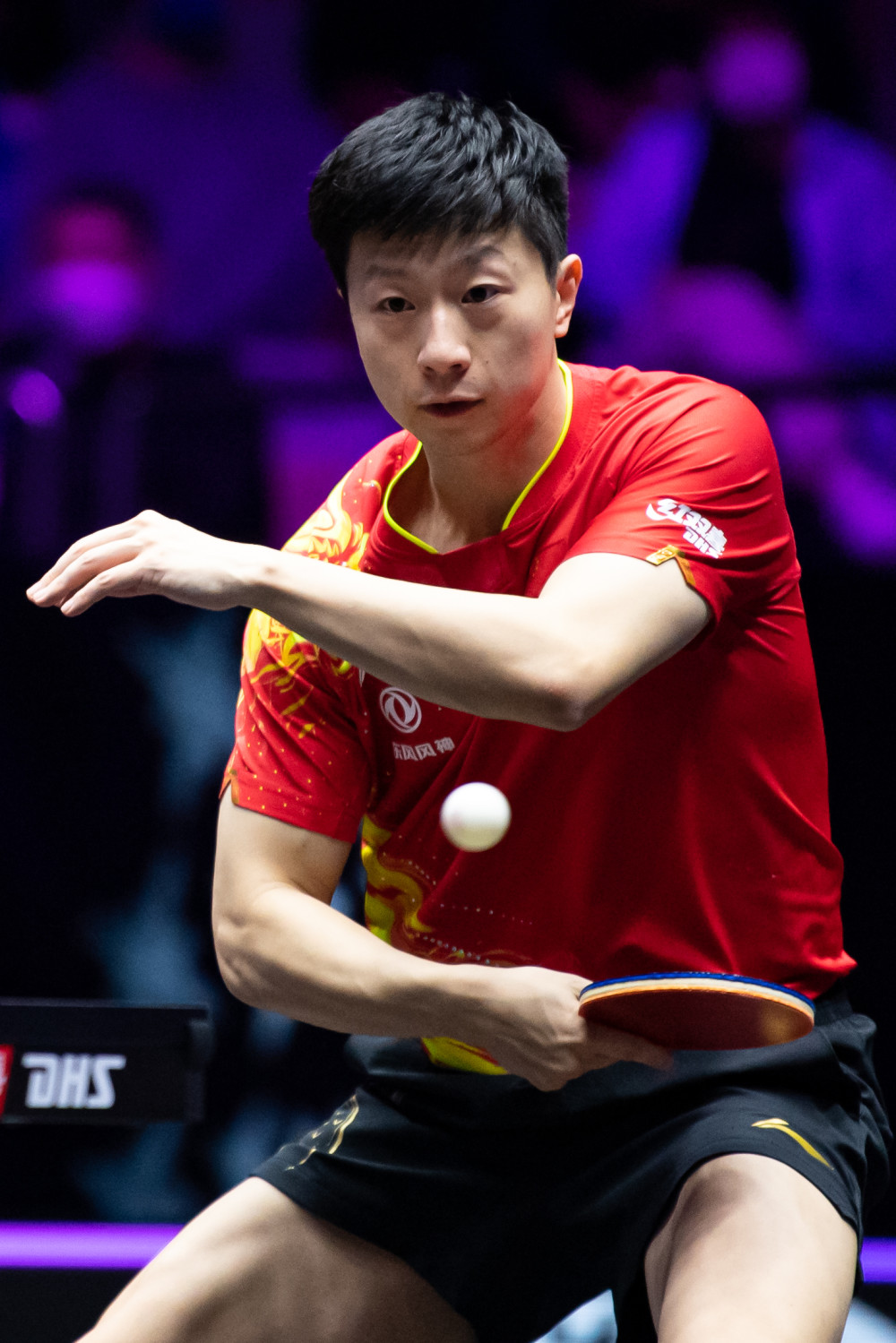 赛季的排名 赛季的排名