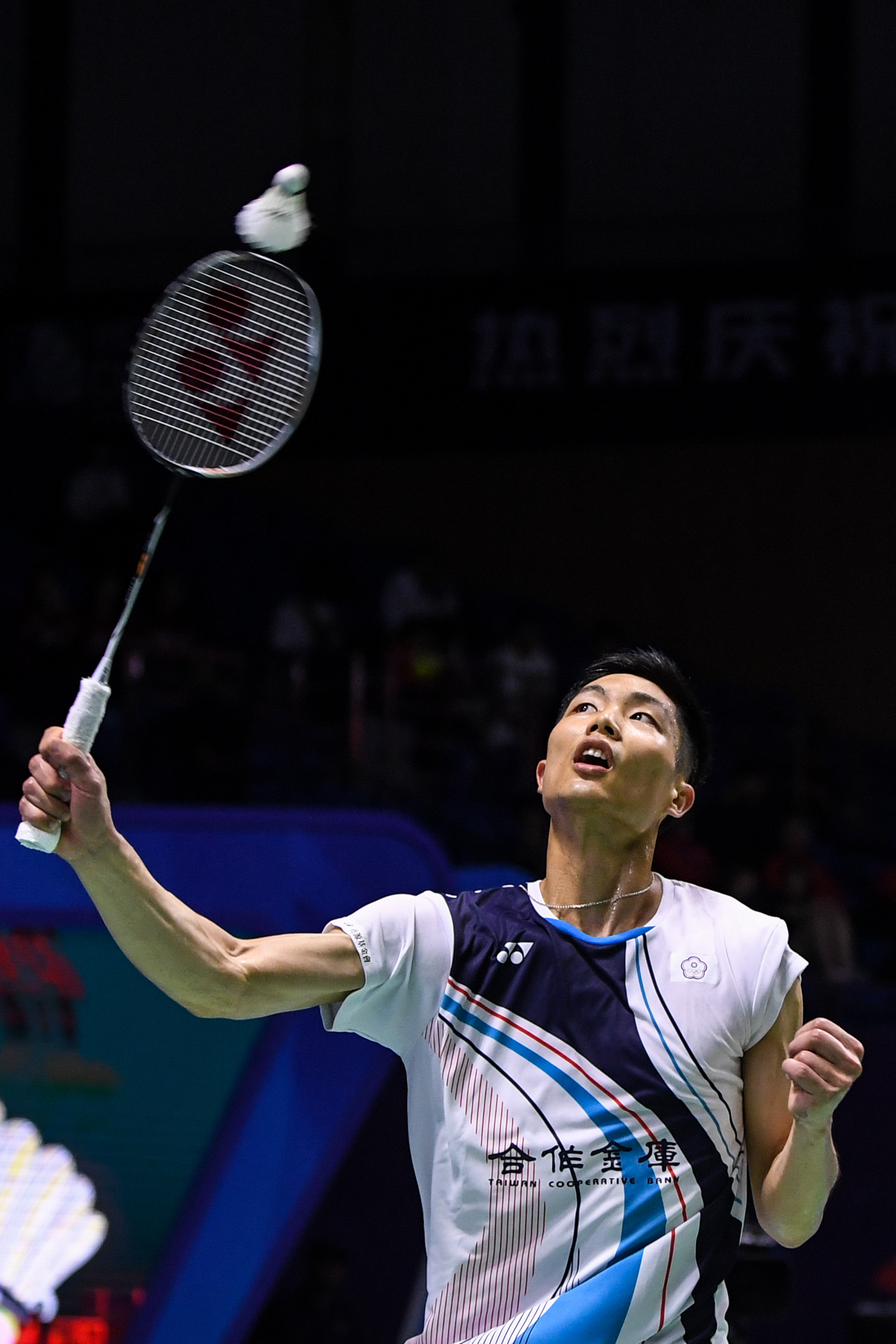 观赏性极高 观赏性极高